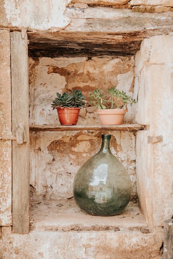 Saint-Genies Maison D'Hotes Bel Estiu المظهر الخارجي الصورة